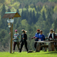 Kapitola prvá - 1000. ročný beh